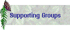 Supporting Groups
