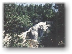 The beautiful Inglis Falls.